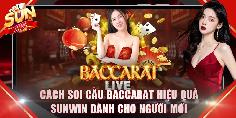 Soi Cầu Baccarat